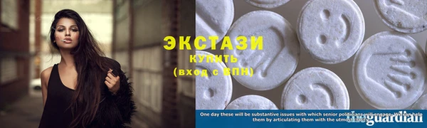 гашик Дмитров