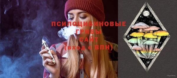 крисы Беломорск