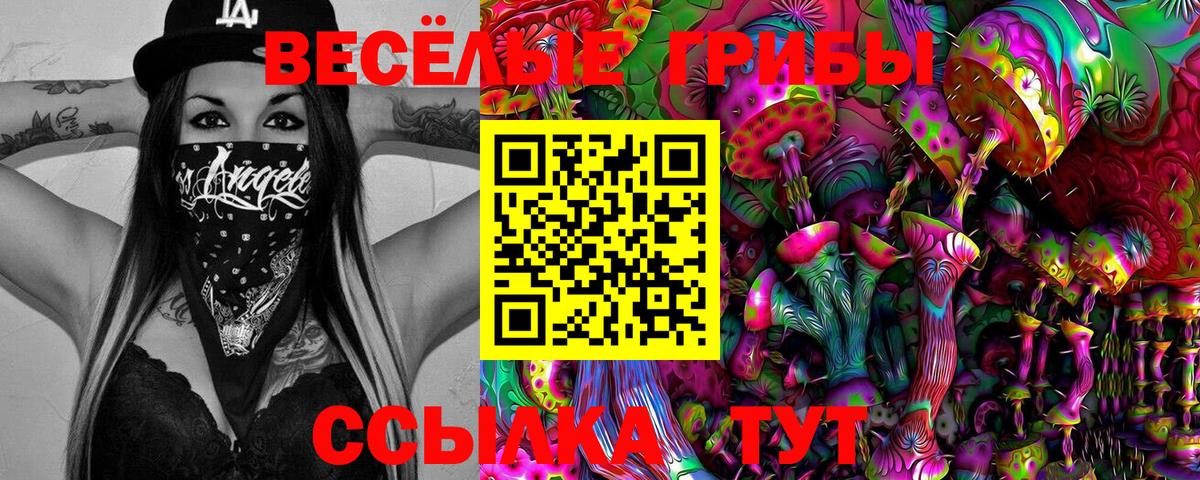 Псилоцибиновые грибы прущие грибы  Вход с VPN  Валуйки 